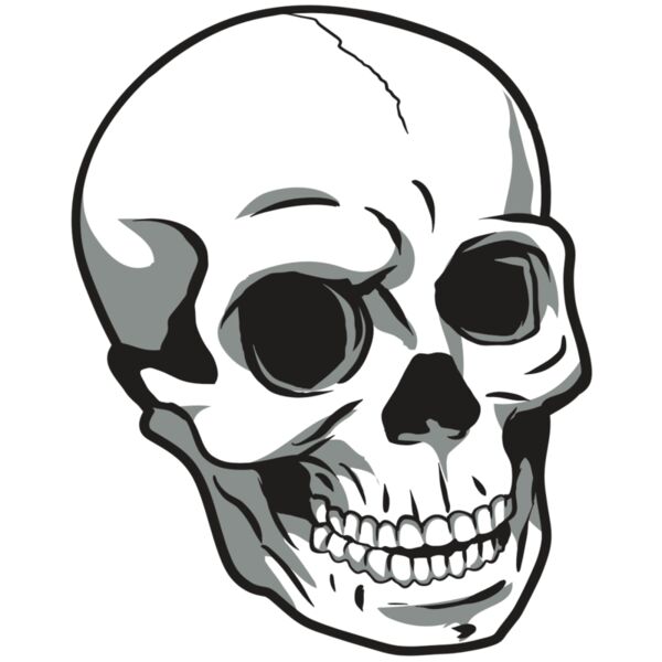 AR24 SKULL 14 RQC Thumbnail